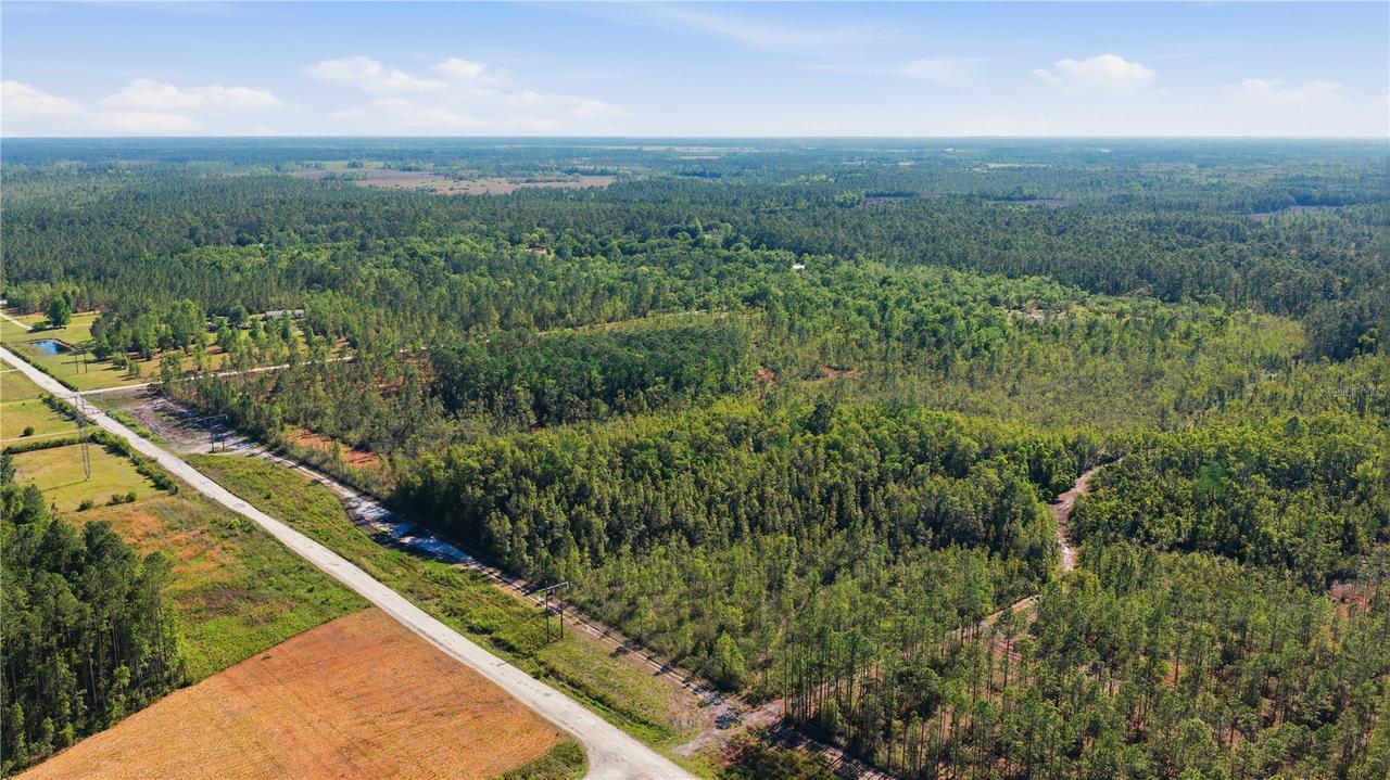 TBD NE 125th Ave., Fort Mc Coy, FL 32134