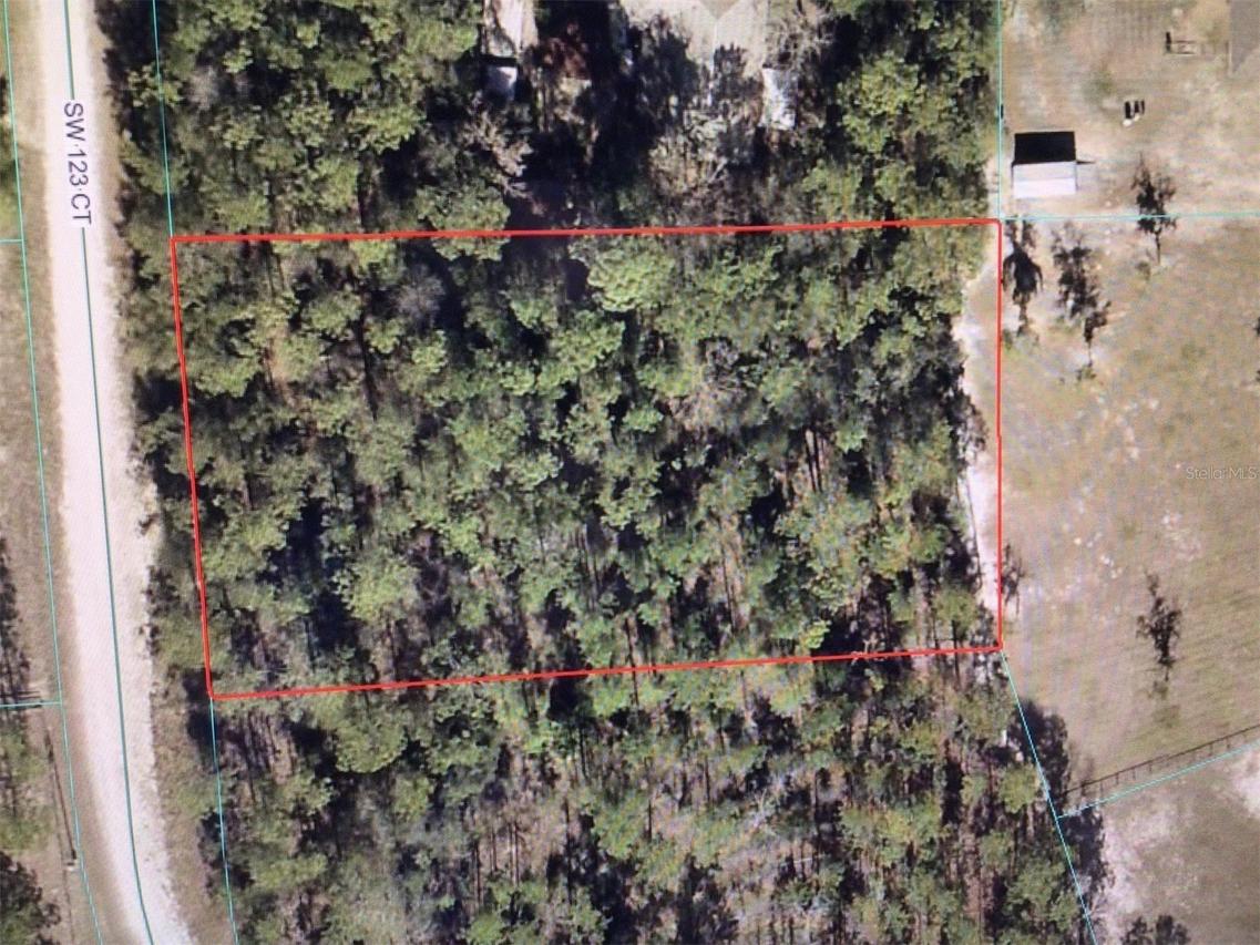 SW 123 Ct., Ocala, FL 34481
