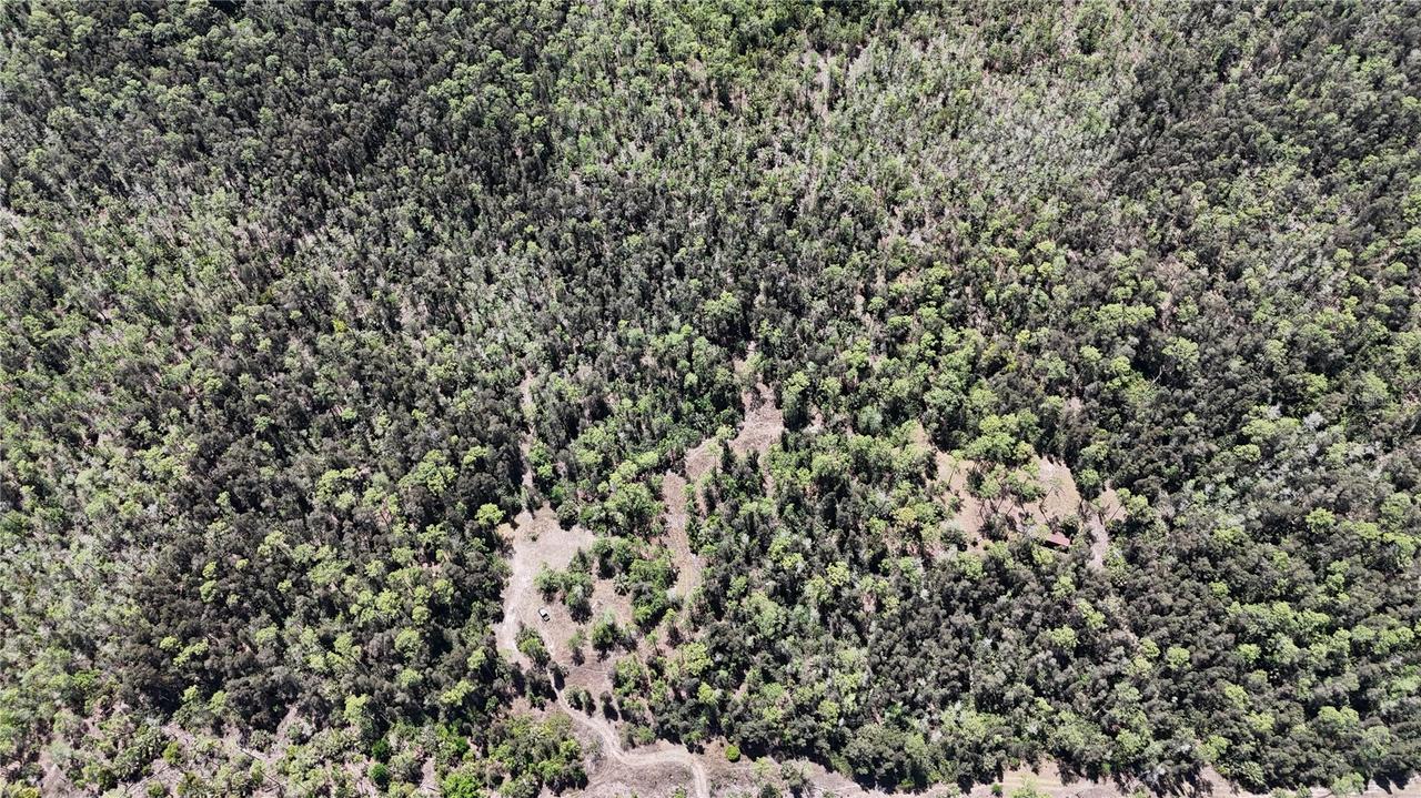 16840 Jozach Dr., Naples, FL 34120