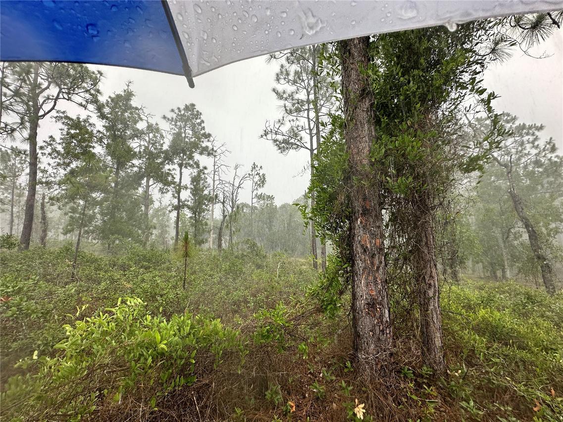 TBD SE 130th Ct., Dunnellon, FL 34431