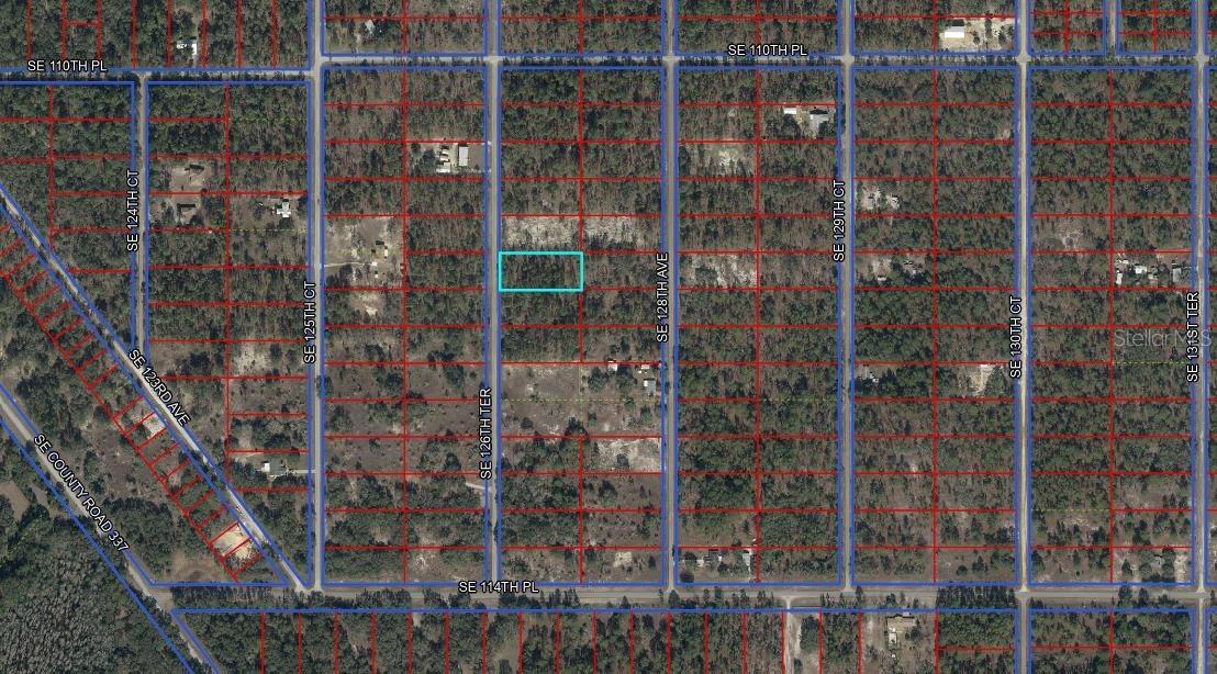11211 SE 126th Ter., Dunnellon, FL 34431