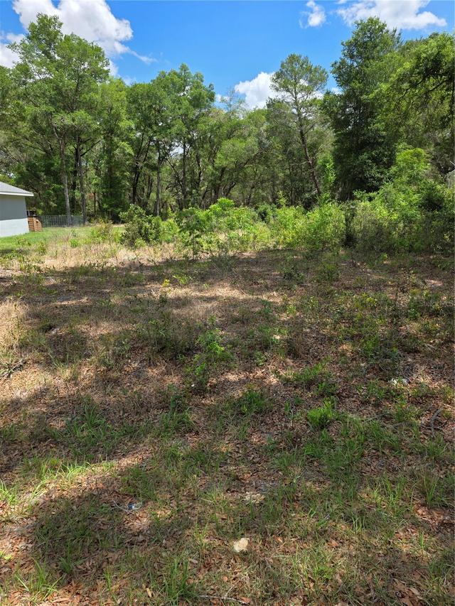 10679 SW 110th Ct., Dunnellon, FL 34432