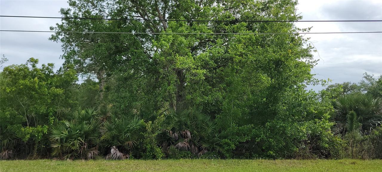 Ralston St., Orlando, FL 32833