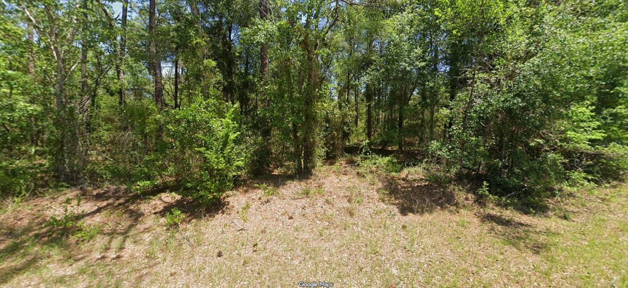 NW Buena Vista Rd., Dunnellon, FL 34431