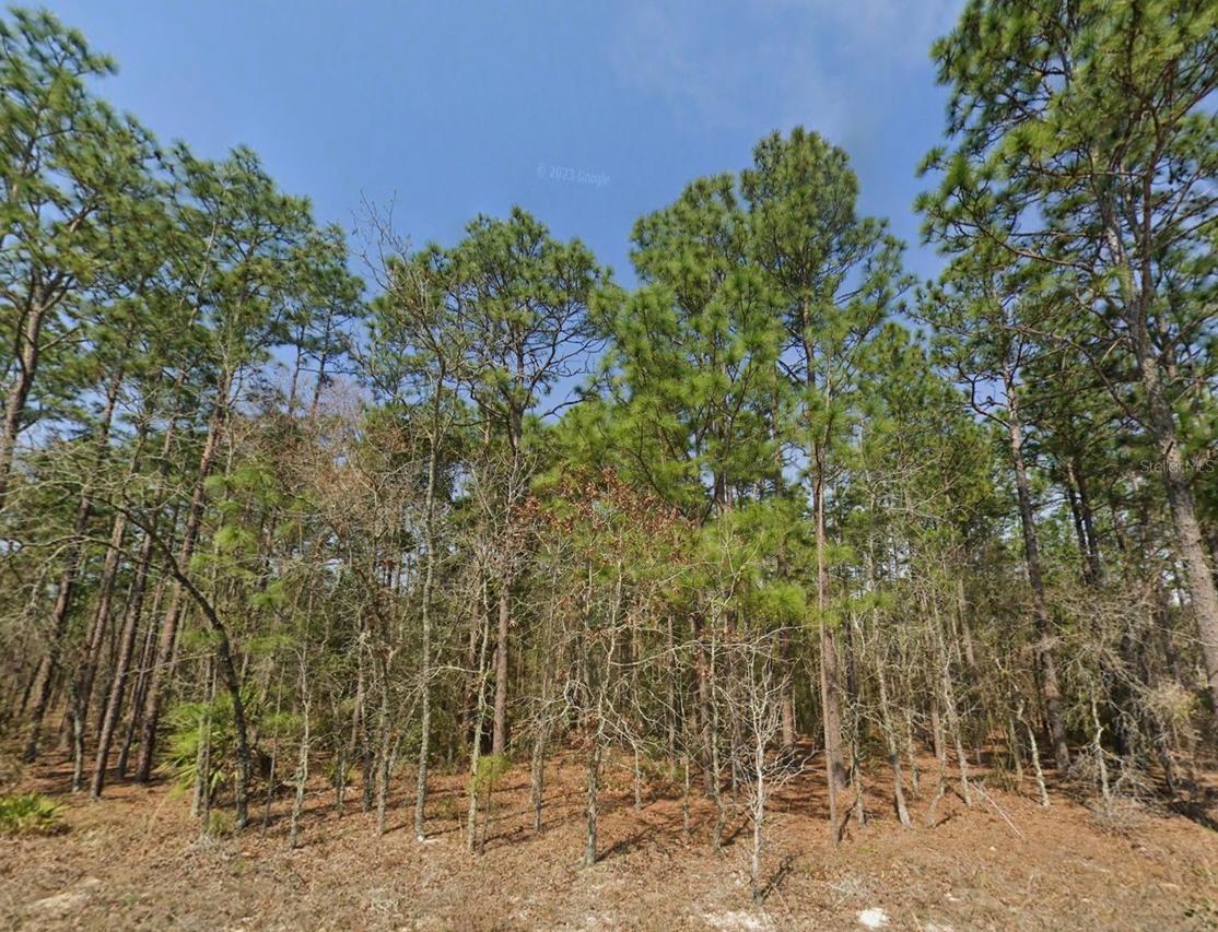 TBD SW 128th Terrace Rd., Ocala, FL 34481