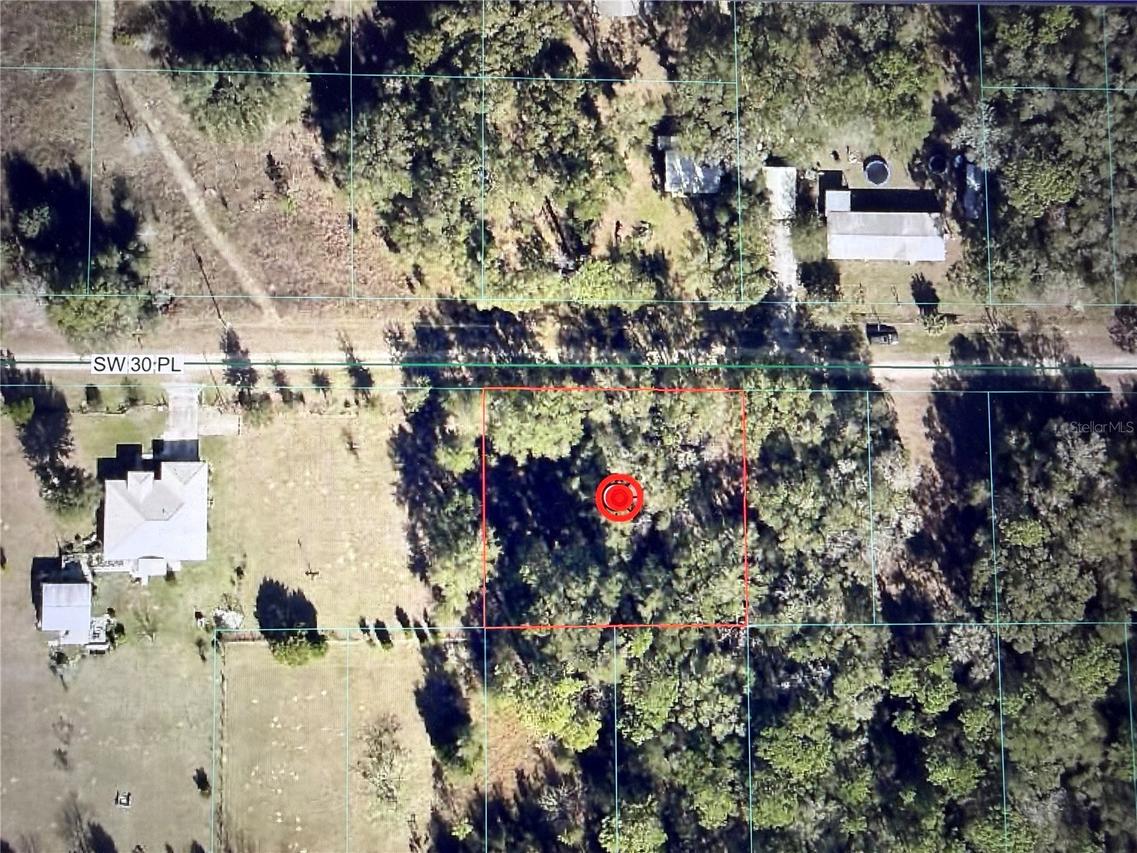 14750 SW 30th Pl., Ocala, FL 34481
