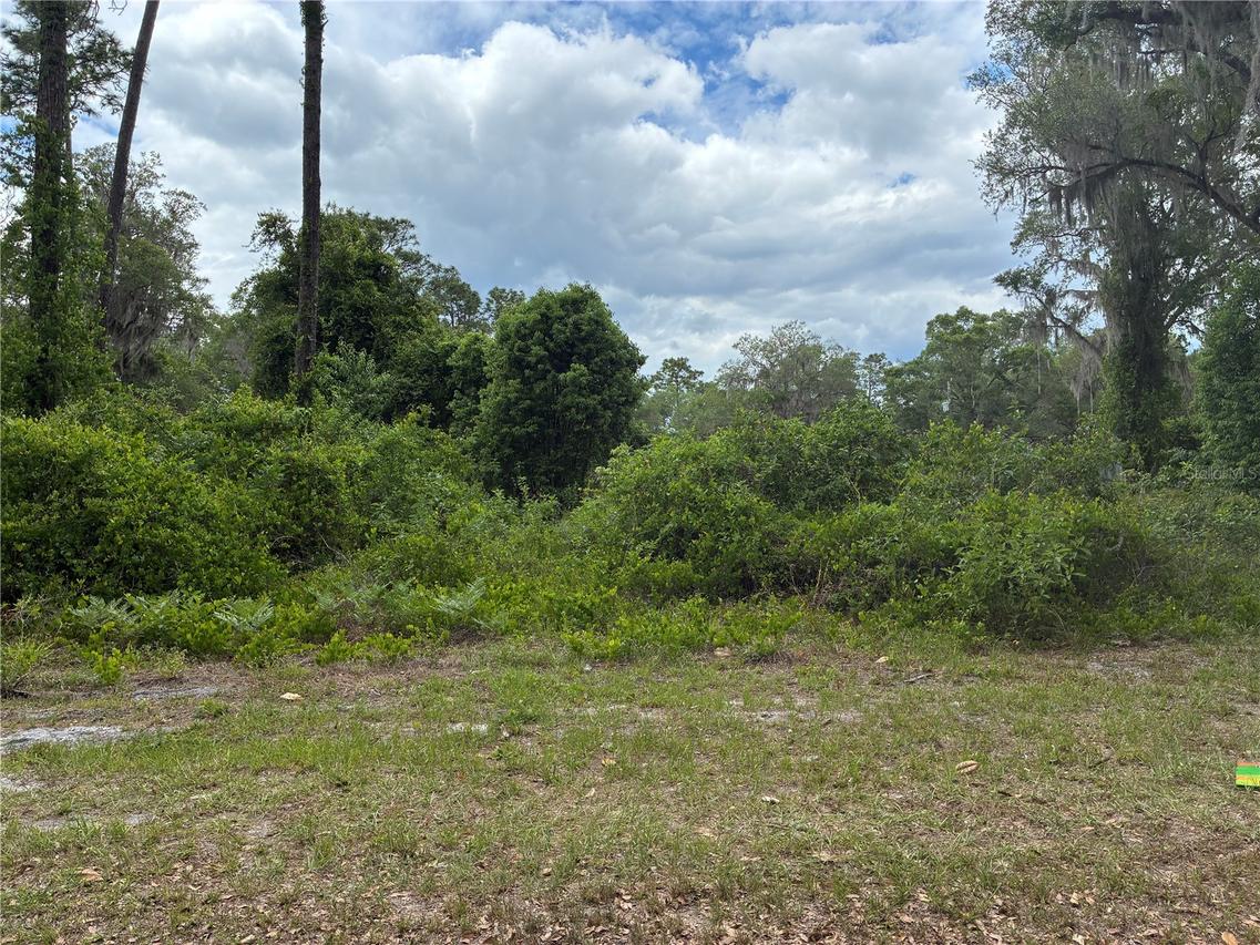 00 SE 87 St., Ocklawaha, FL 32179