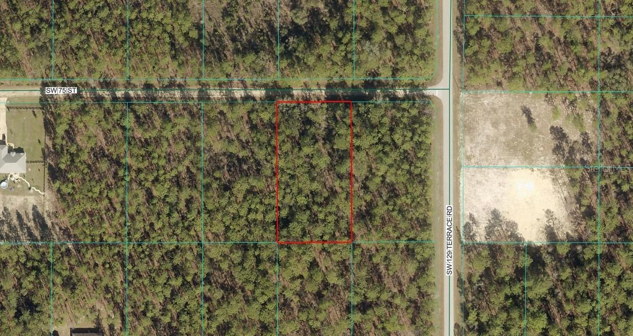 TBD LOT 8 SW 75th St., Dunnellon, FL 34432