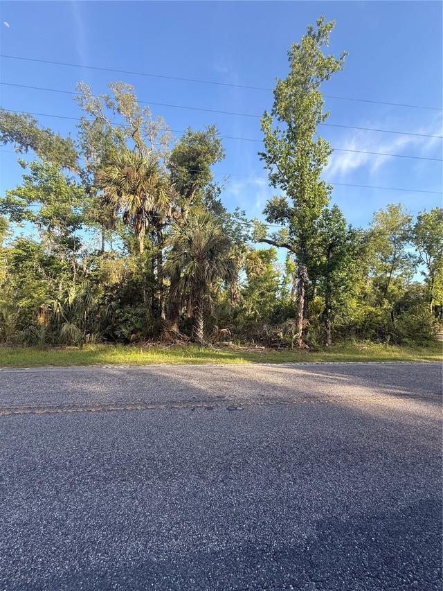 10274 W Ozello Tr., Crystal River, FL 34429