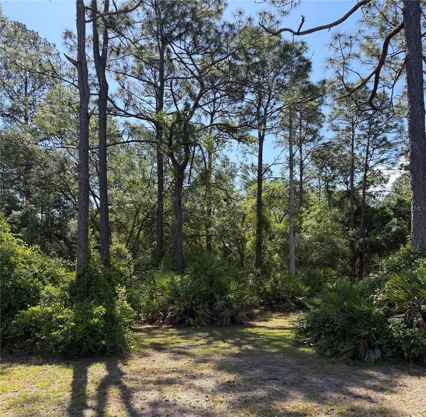 SE 180th Avenue Rd., Ocklawaha, FL 32179