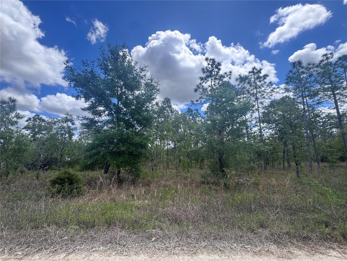 TBD NE 15oth Ct., Williston, FL 32696