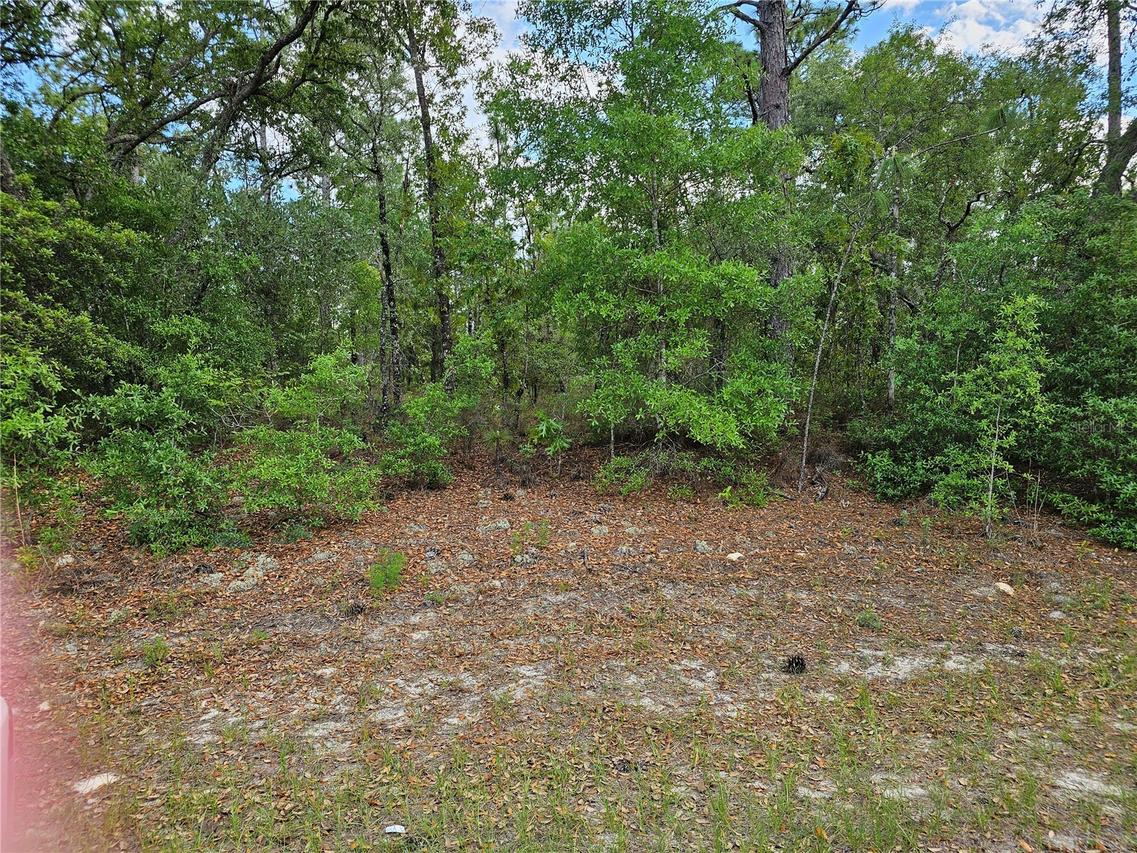 767 E Byrd, Dunnellon, FL 34434