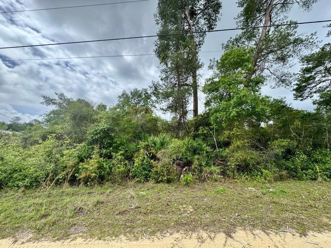NE 134th Pl., Salt Springs, FL 32134