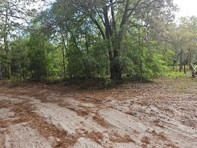 SW 90, Dunnellon, FL 34432