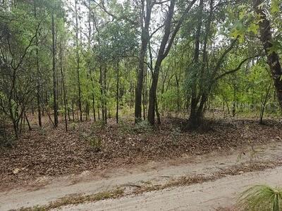 00 SW 90 St., Dunnellon, FL 34432