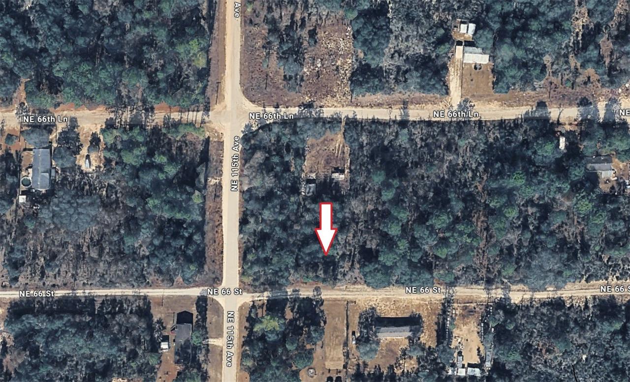 Ne 66th, Williston, FL 32696