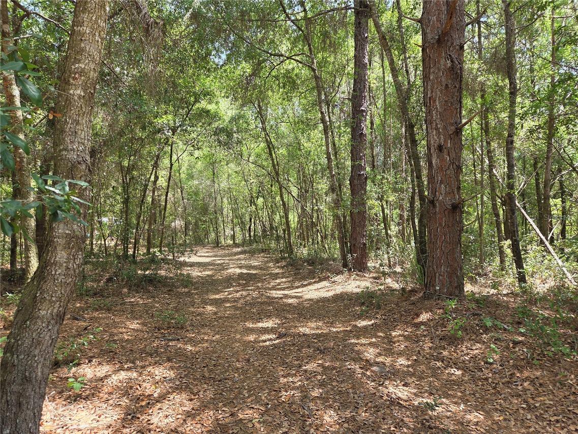 11953 N Glenview Ave., Dunnellon, FL 34434