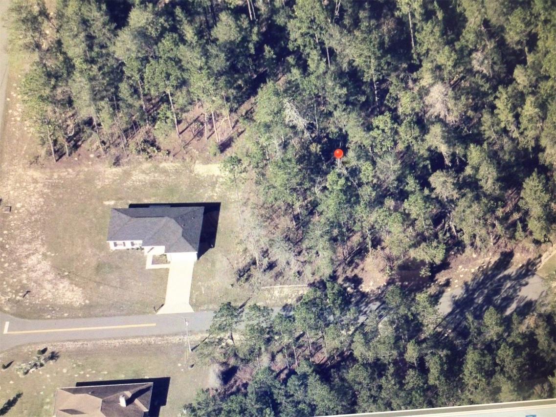 SW 177 Pl., Ocala, FL 34473