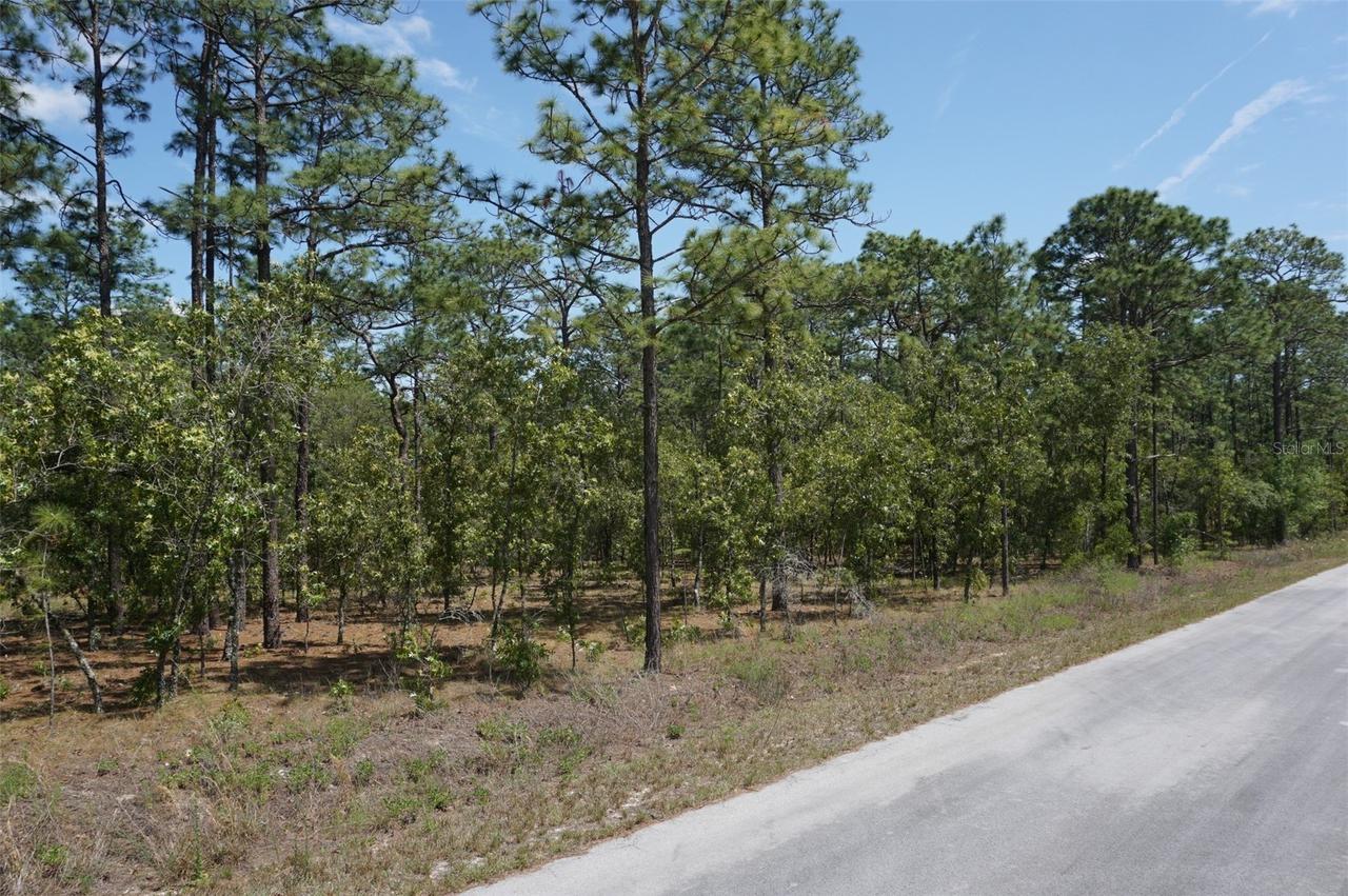 TBD NW Tree Top Rd., Dunnellon, FL 34431