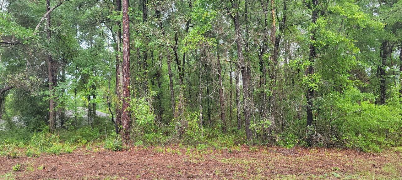 9781 N Loretta Way, Citrus Springs, FL 34434