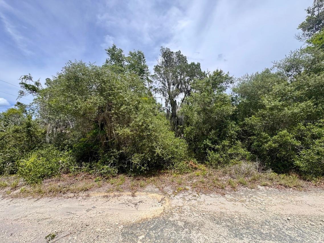 8365 NE 306th Ct., Salt Springs, FL 32134