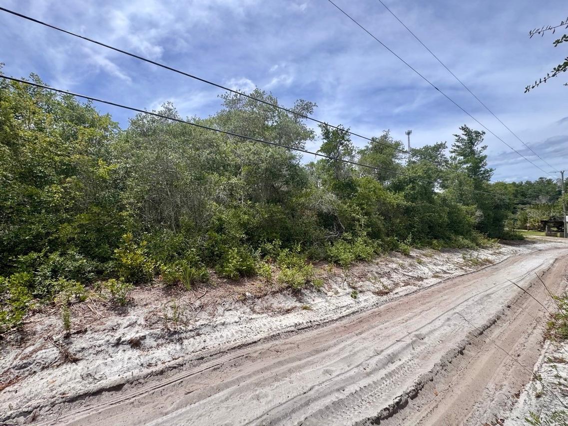 NE 306th Ter., Salt Springs, FL 32134