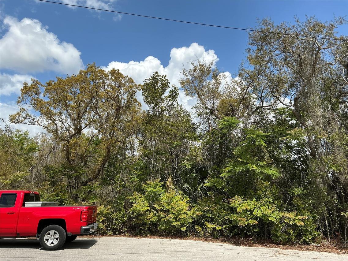 Ash Pass Run, Ocala, FL 34472