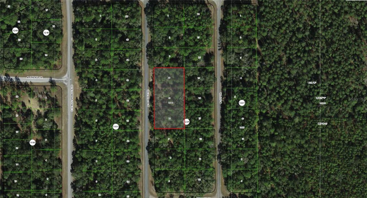 9285 N Irondale Rd., Dunnellon, FL 34434