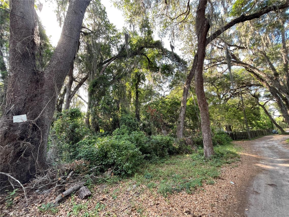 NE 37th Ct., Citra, FL 32113