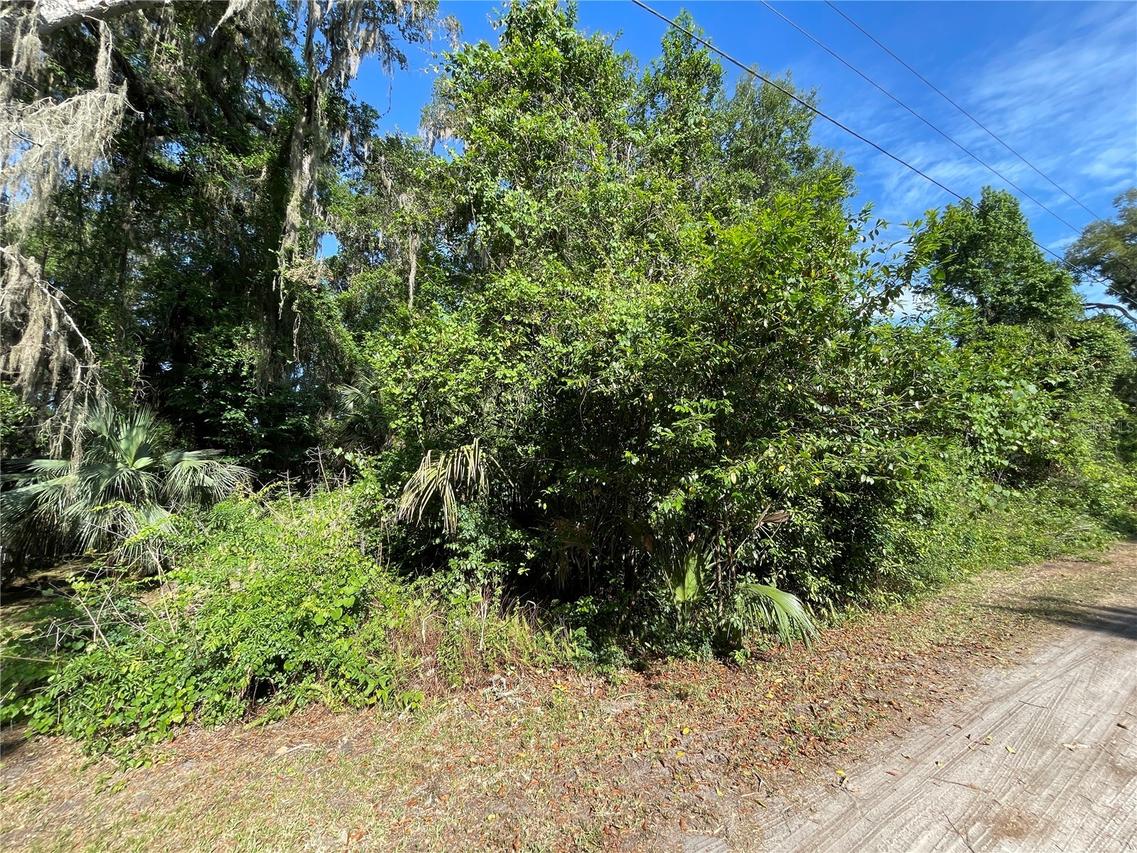 NE 37th Ter., Citra, FL 32113
