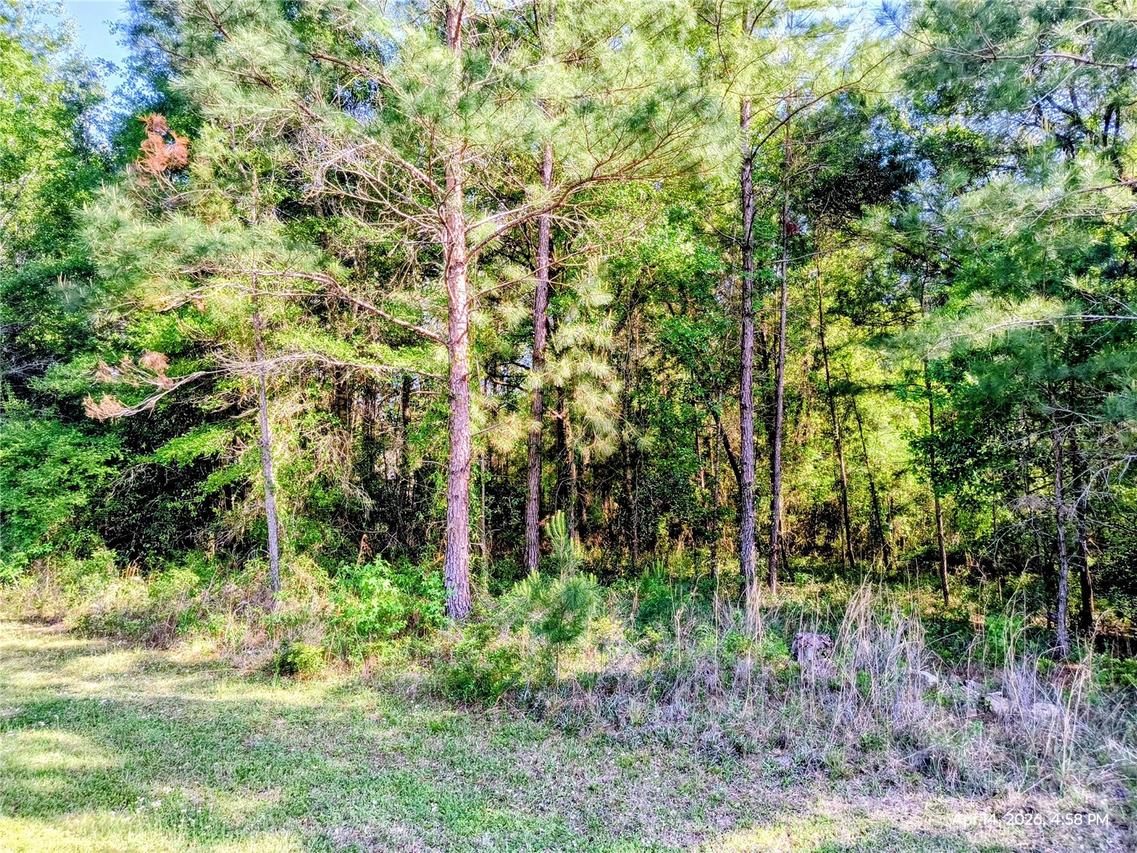 TBD NW 142nd St., Williston, FL 32696