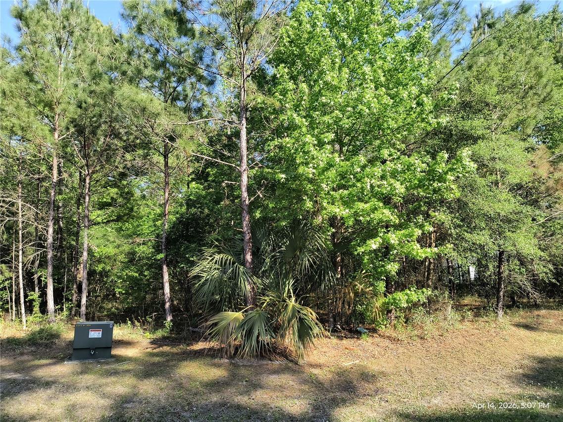 TBD NW 141st Ave., Williston, FL 32696