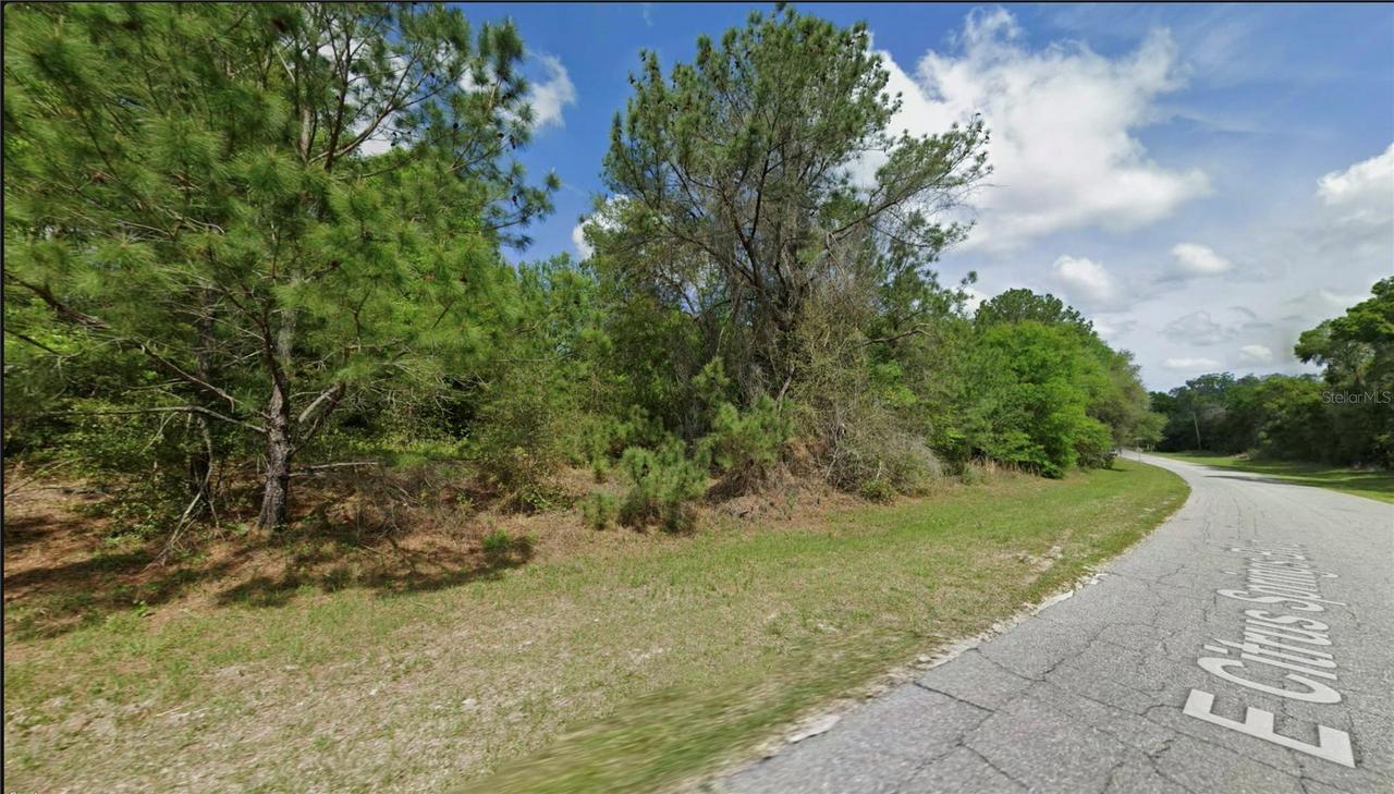325 E Citrus Springs Blvd., Citrus Springs, FL 34434