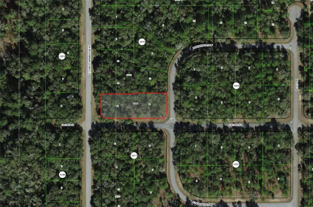2054 E Citrus Springs Blvd., Citrus Springs, FL 34434