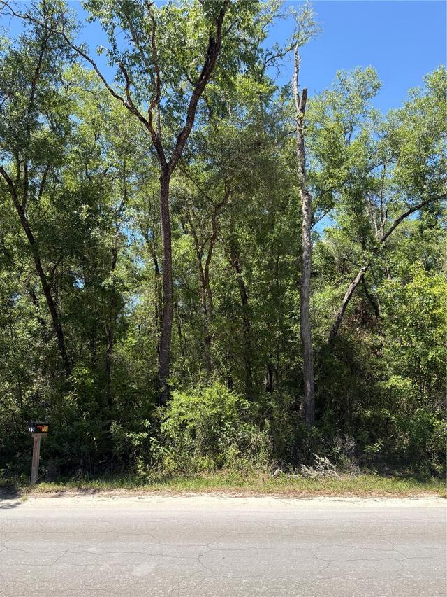 00 Ne 7th Place, Williston, FL 32696