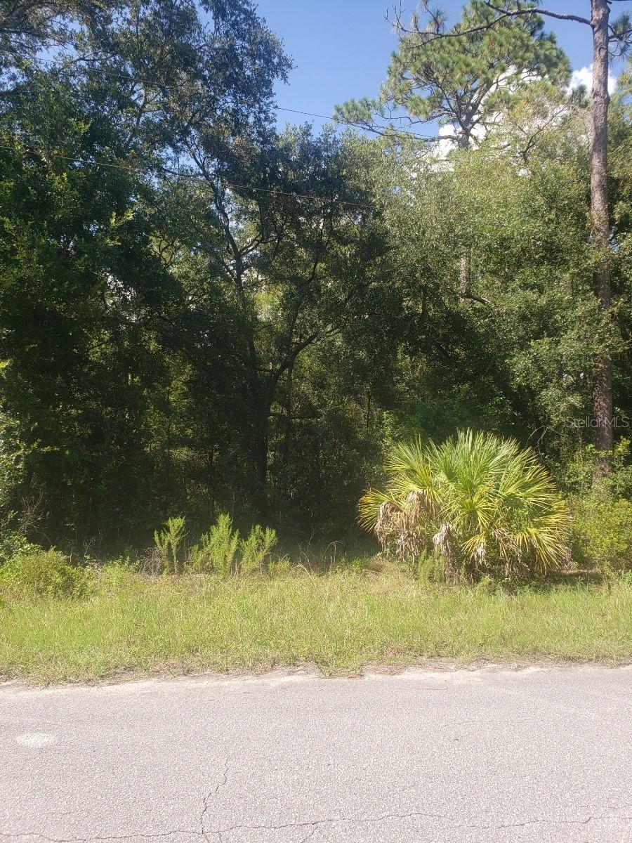 2949 W Grapevine Ct., Dunnellon, FL 34433