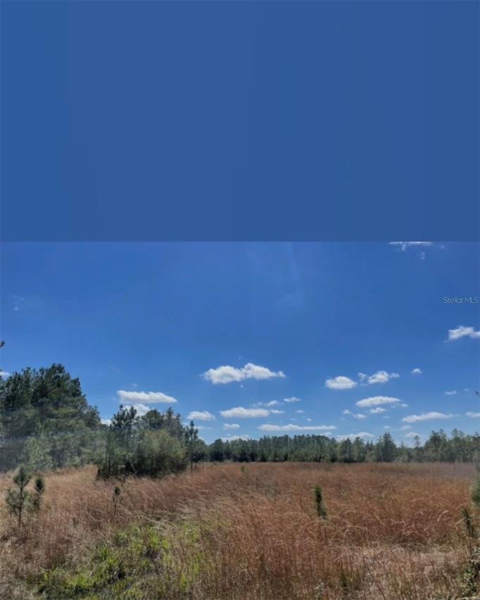 Ne 124th Ter, Fort Mc Coy, FL 32134