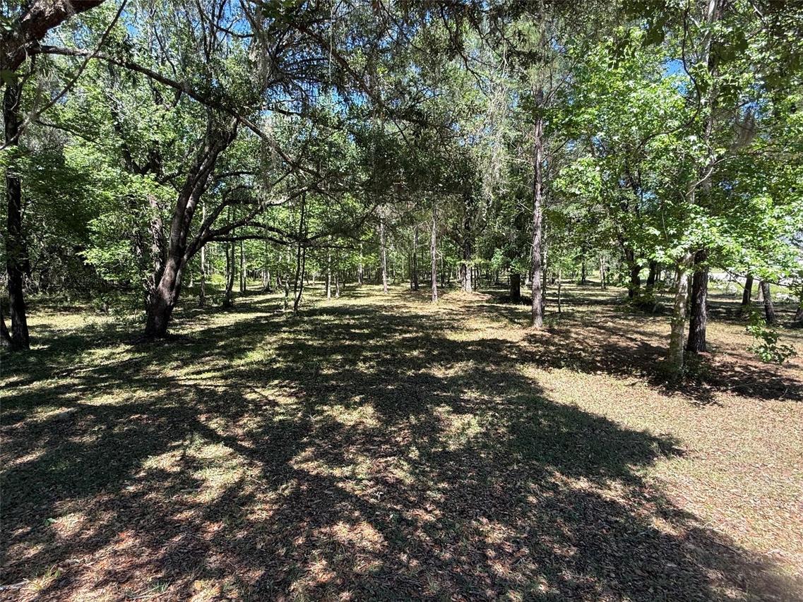 LOT 3 NW 145 Ave., Williston, FL 32696