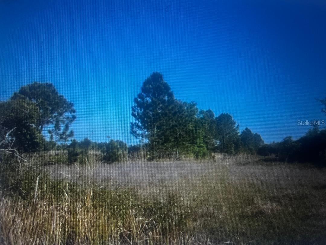 733 N Tarry Ln., Lorida, FL 33857
