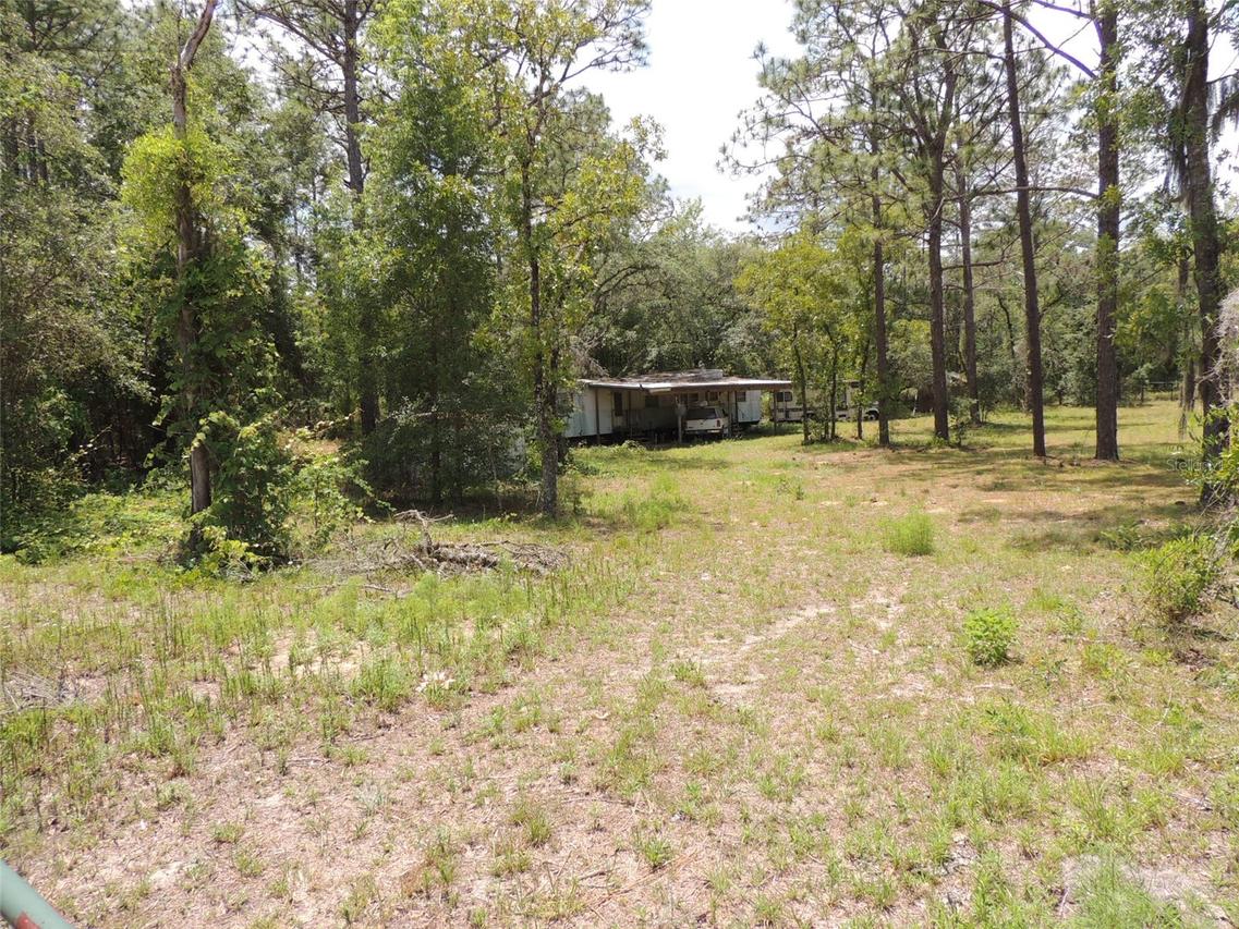 250 NE 131st Ave., Williston, FL 32696