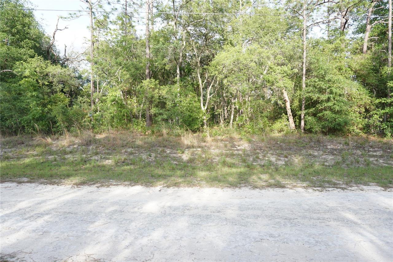 00 (TBD) SW 135 Terrace Rd., Dunnellon, FL 34432