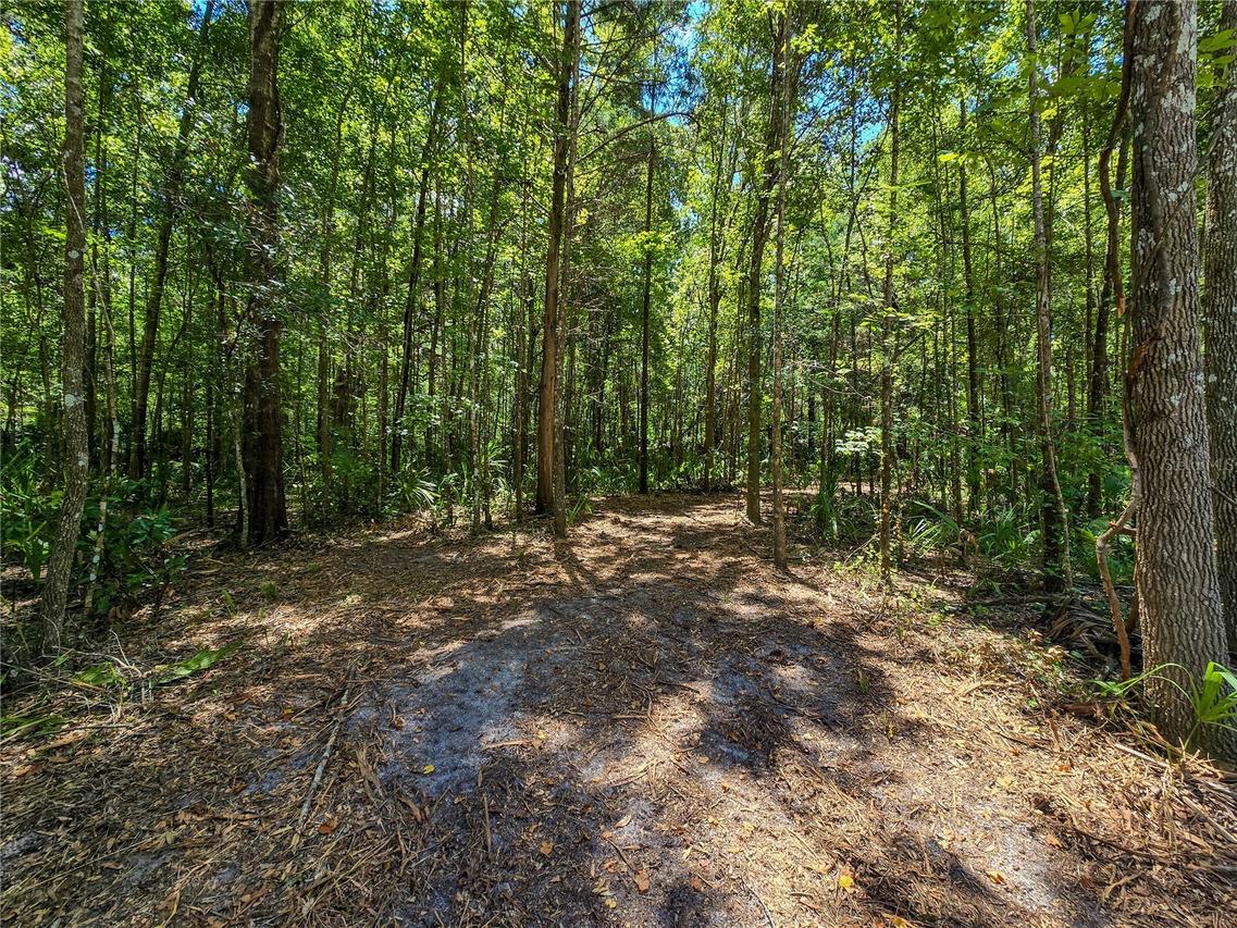 2381 N Jennifer Ter., Inverness, FL 34453