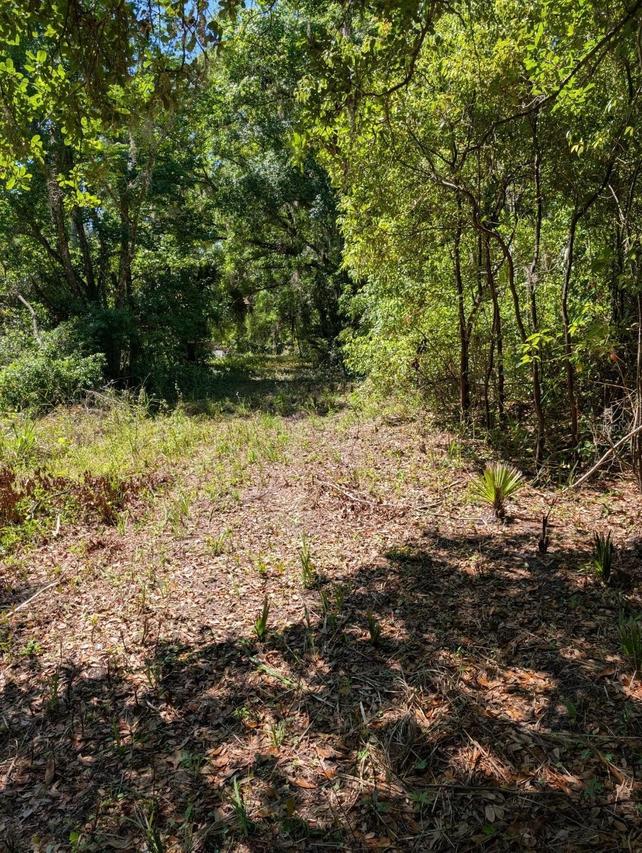 NW 202nd Pl, Mc Intosh, FL 32664