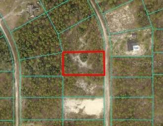TBD SW 127th Ave Rd., Ocala, FL 34481