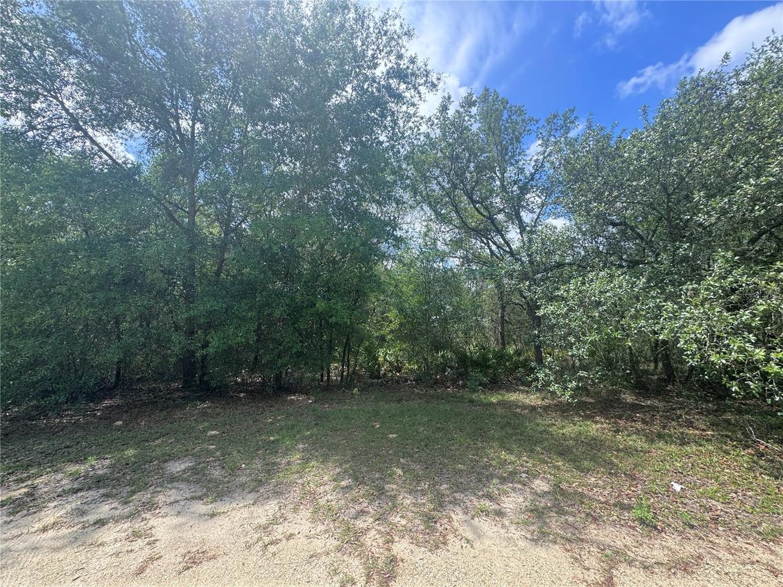 11548 NE 62nd Ln., Williston, FL 32696