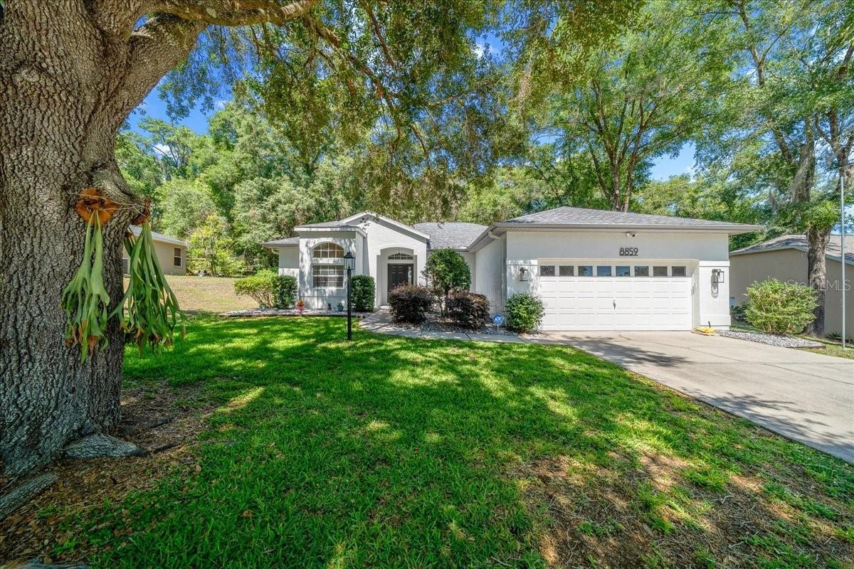 8859 SW 196th Avenue Rd., Dunnellon, FL 34432