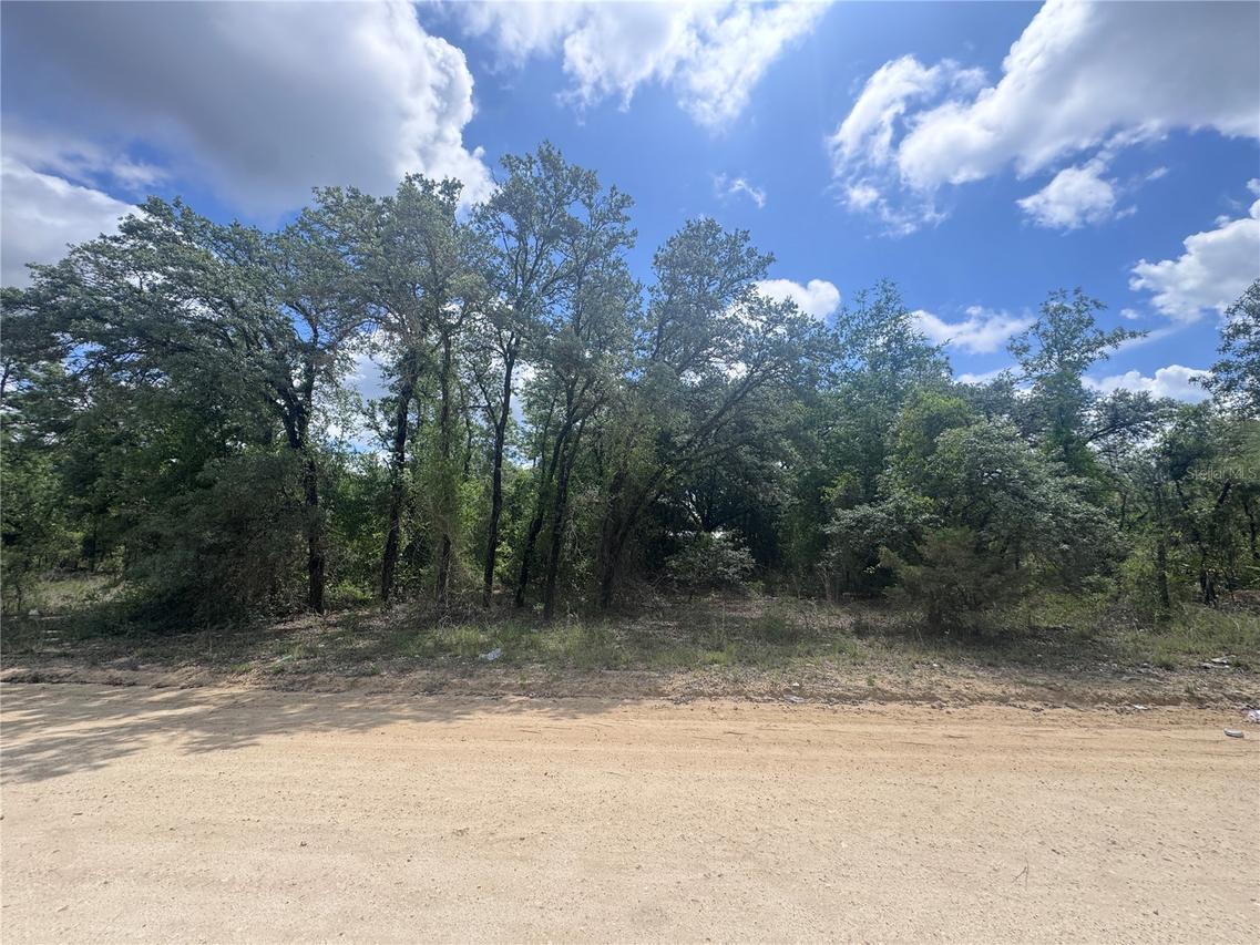 tbd NE 119th Ter., Williston, FL 32696