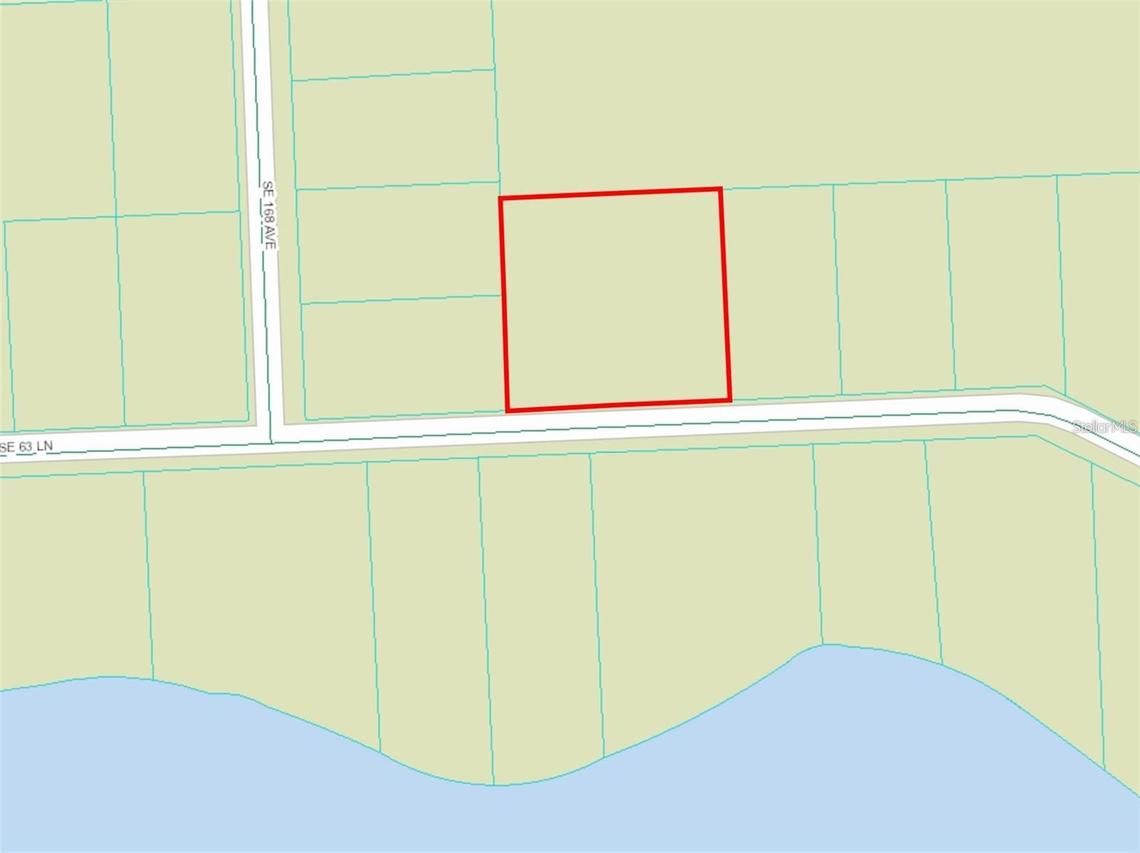 SE 63 Ln., Ocklawaha, FL 32179