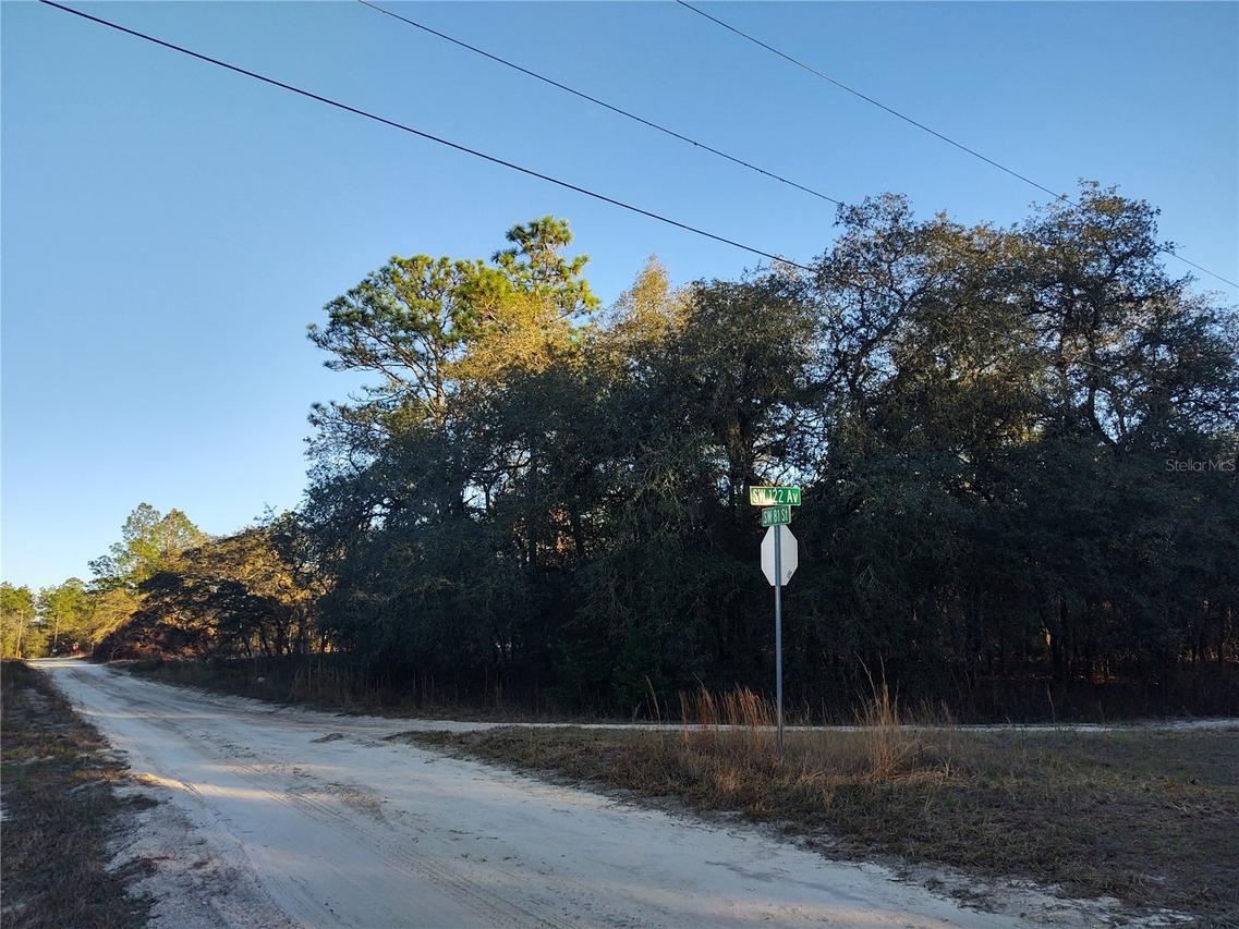 Tbd Sw 81st St., Dunnellon, FL 34432