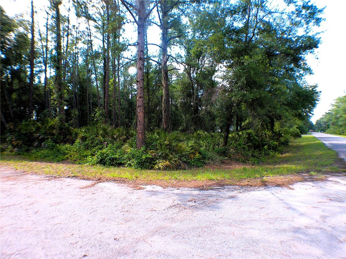 TBD Sequoia Dr., Ocklawaha, FL 32179